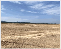  2025Ÿ50886  ϱ ȣ  1412-1      ()