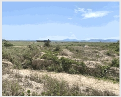  2025Ÿ50886  ϱ ȣ  1412-1      ()