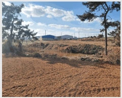  2025Ÿ��50895  �Ӿ߰��