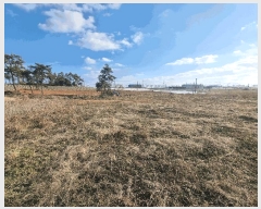  2025Ÿ��50895  �Ӿ߰��