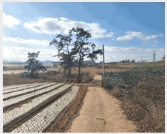  2025Ÿ��50895  �Ӿ߰��