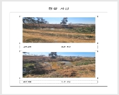  2025Ÿ��50895  �Ӿ߰��