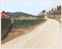  2025Ÿ50916  žȱ   1251-2      ()