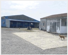  2025Ÿ50917  ϱ ȣ ظ 140-4      