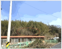  2025Ÿ��50933 ���� ���� �պҸ� �û긮 768      ����(��1)���