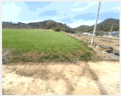  2025Ÿ��50933  �������