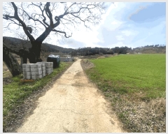  2025Ÿ��50933  �������