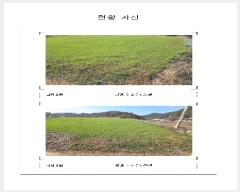  2025Ÿ��50933  �������