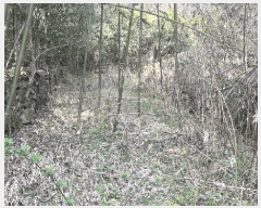  2025Ÿ50975   պҸ ϸ 576-1      ()