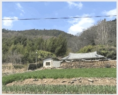  2025Ÿ50975   պҸ ϸ 576-1      ()