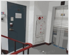  2025Ÿ50984    1259 žȺġƮ 202 2206ȣ    Ʈ