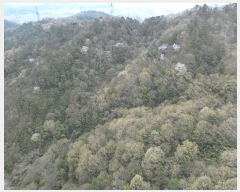  2025Ÿ51018  ȱ   43-2      (Ӿ)