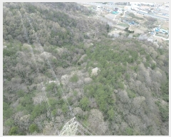  2025Ÿ51018  ȱ   43-2      (Ӿ)