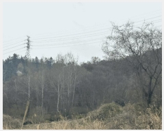  2025Ÿ51018  ȱ   43-2      (Ӿ)