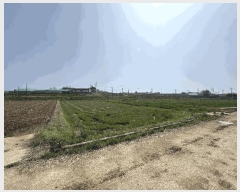  2025Ÿ51030   պҸ 곲 2609-4      ()