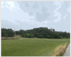  2025Ÿ51073  žȱ   496      (Ӿ)