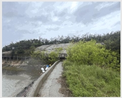  2025Ÿ51073  žȱ   496      (Ӿ)