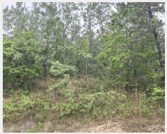  2025Ÿ51073  žȱ   496      (Ӿ)