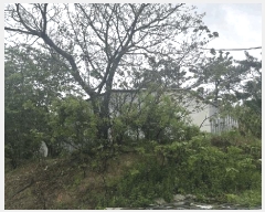  2025Ÿ51073  žȱ   496      (Ӿ)