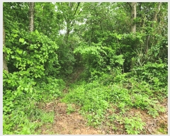  2025Ÿ51099    ۾ϸ 89-1      (Ӿ)