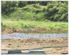  2025Ÿ51099    ۾ϸ 89-1      (Ӿ)