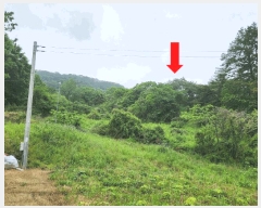  2025Ÿ51099    ۾ϸ 89-1      (Ӿ)