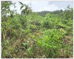  2025Ÿ51099    ۾ϸ 89-1      (Ӿ)