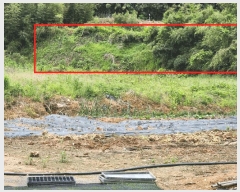  2025Ÿ51099    ۾ϸ 89-1      (Ӿ)