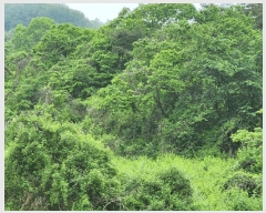  2025Ÿ51099    ۾ϸ 89-1      (Ӿ)