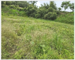  2025Ÿ51099    ۾ϸ 89-1      (Ӿ)