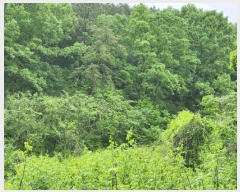  2025Ÿ51099    ۾ϸ 89-1      (Ӿ)