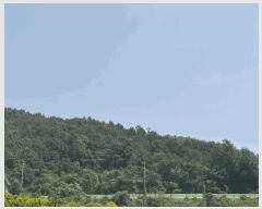  2025Ÿ��51121 ���� ���ϱ� �л�� ��õ�� ��77      ����(�Ӿ�)���