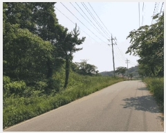  2025Ÿ51128  ȱ  渮 57-5      (Ӿ)