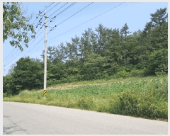  2025Ÿ51128  ȱ  渮 57-5      (Ӿ)