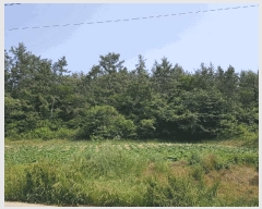  2025Ÿ51128  ȱ  渮 57-5      (Ӿ)