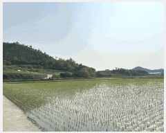  2025Ÿ51136  žȱ ʸ ܳ 712      ()