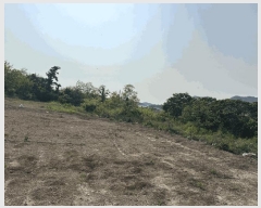  2025Ÿ51136  žȱ ʸ ܳ 712      ()