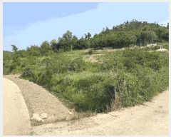  2025Ÿ51136  žȱ ʸ ܳ 712      ()