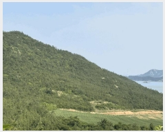  2025Ÿ51136  žȱ ʸ ܳ 712      ()