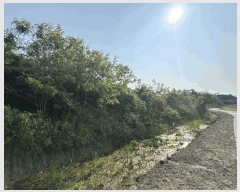  2025Ÿ51136  žȱ ʸ ܳ 712      ()