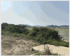  2025Ÿ51136  žȱ ʸ ܳ 712      ()