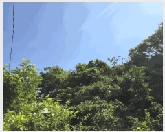  2025Ÿ51142  žȱ  ڵ 955      ()