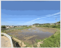  2025Ÿ51142  žȱ  ڵ 955      ()