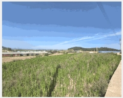  2025Ÿ51142  žȱ  ڵ 955      ()