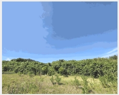  2025Ÿ51142  žȱ  ڵ 955      ()