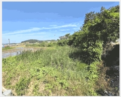  2025Ÿ51142  žȱ  ڵ 955      ()