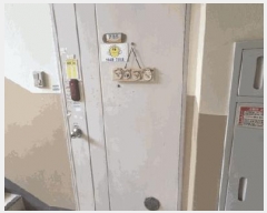  2025Ÿ��51179  ����Ʈ���