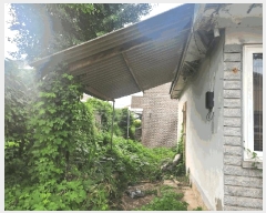  2025Ÿ��51196  ���ð��