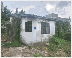  2025Ÿ��51196  ���ð��