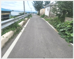  2025Ÿ��51196  ���ð��